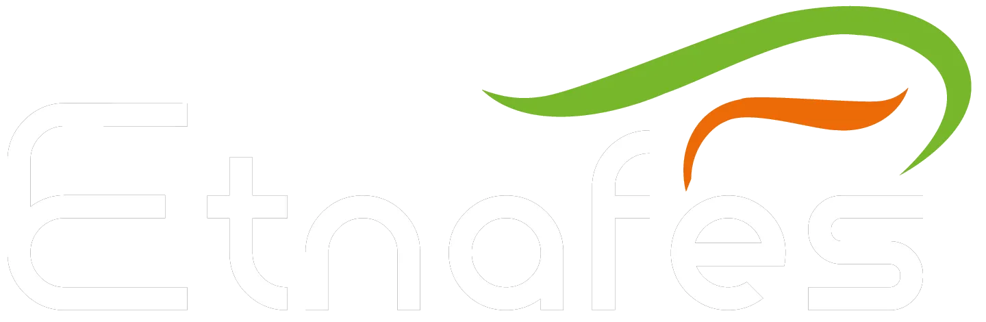 logo-ETNAFES
